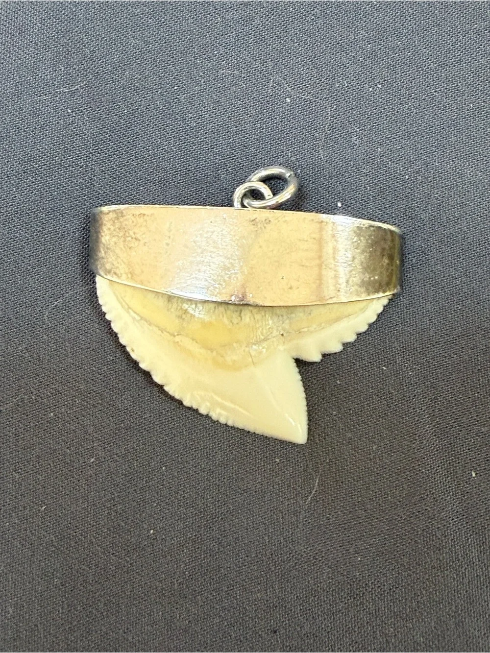 Vintage Silver Capped Shark Tooth Pendant Charm - Hallmarked
